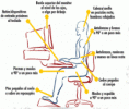 Recomendaciones para trabajar frente al computador.